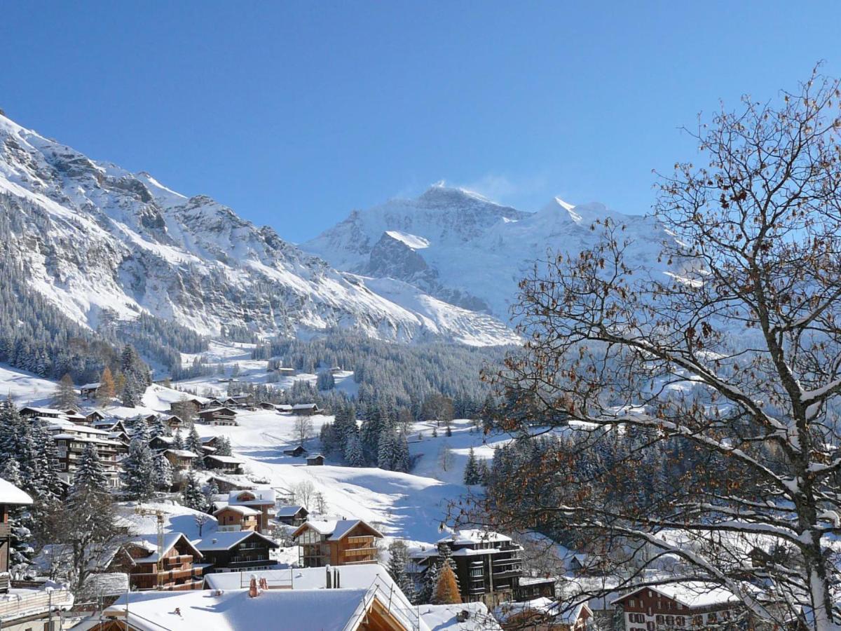 Eiger Apt-a-425 By Interhome Wengen